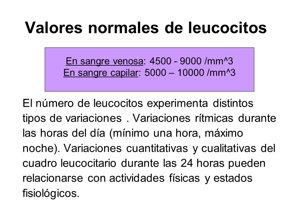 leucocitos tipos y clasificacion leucocitos tipos y clasificacion